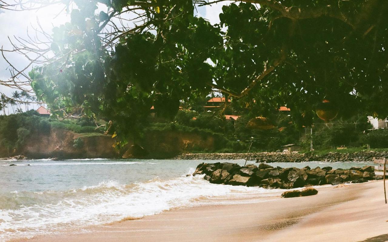 Nature Rex Hostel Weligama Exteriör bild