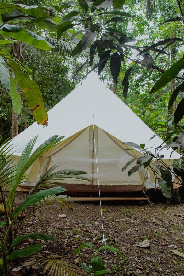 Nature Rex Hostel Weligama Exteriör bild