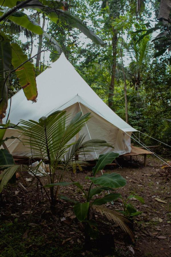 Nature Rex Hostel Weligama Exteriör bild