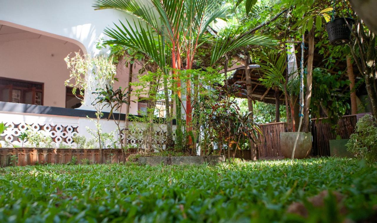 Nature Rex Hostel Weligama Exteriör bild
