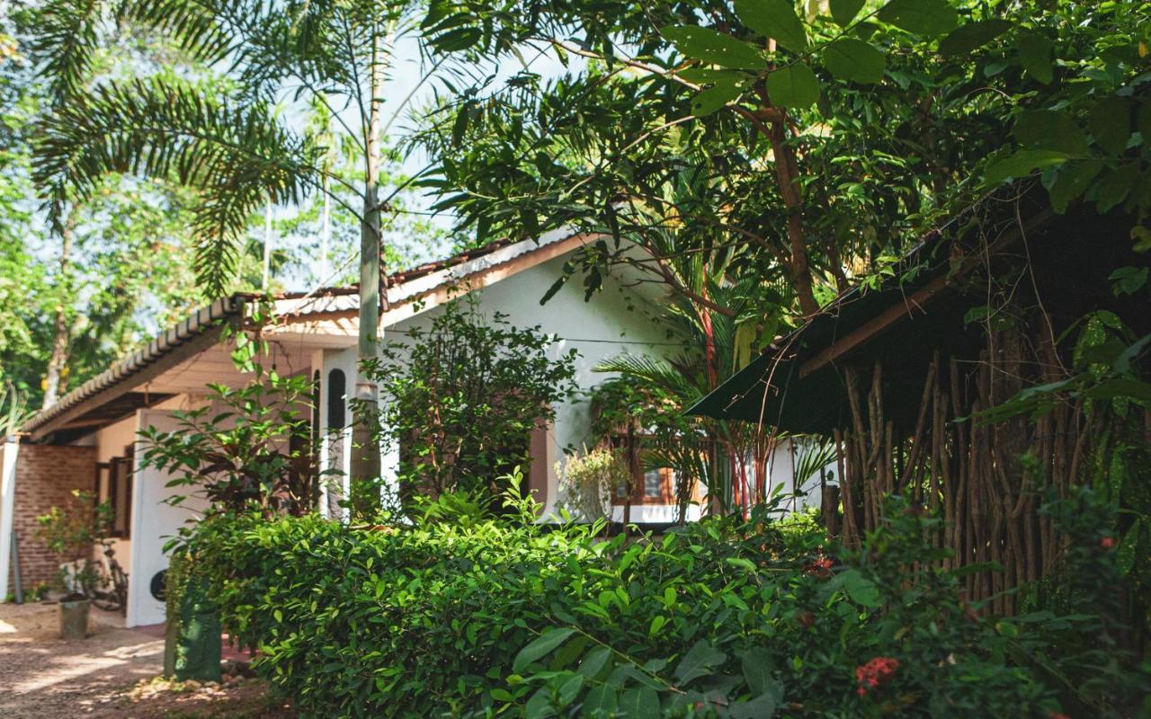 Nature Rex Hostel Weligama Exteriör bild