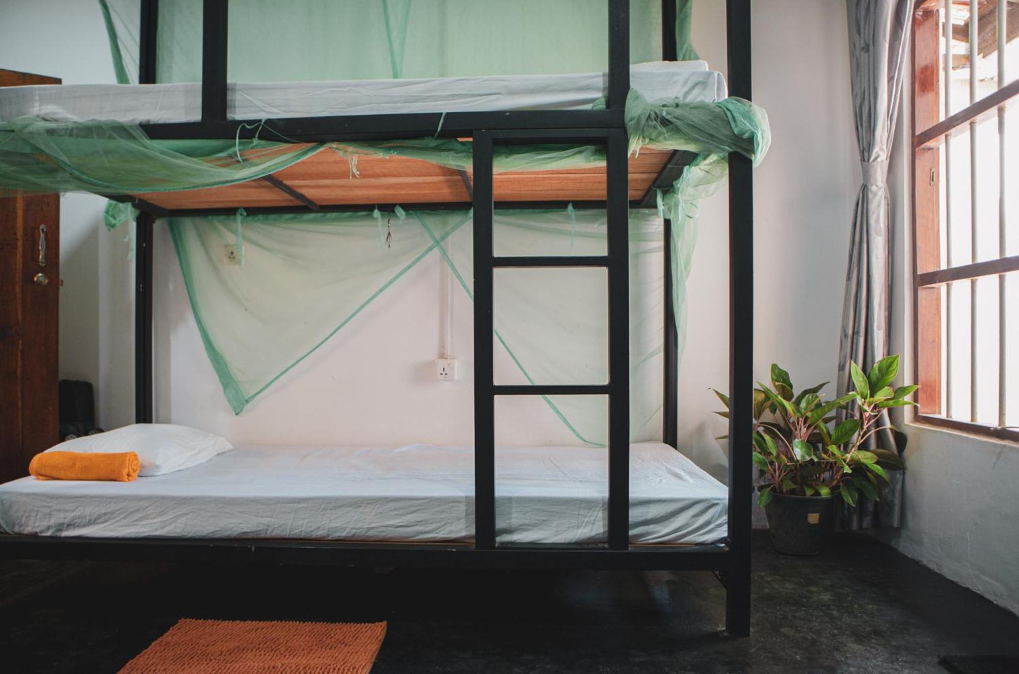 Nature Rex Hostel Weligama Exteriör bild