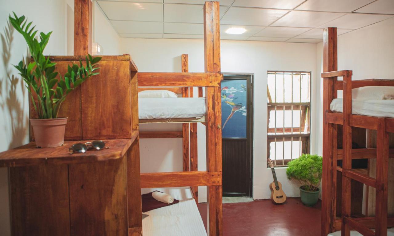 Nature Rex Hostel Weligama Exteriör bild